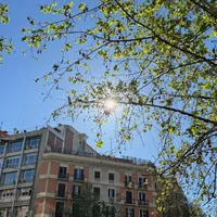 Photo of the sun behind trees in the morning from Barcelona