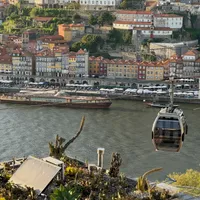 Photo of a cactus roof with Porto in the background