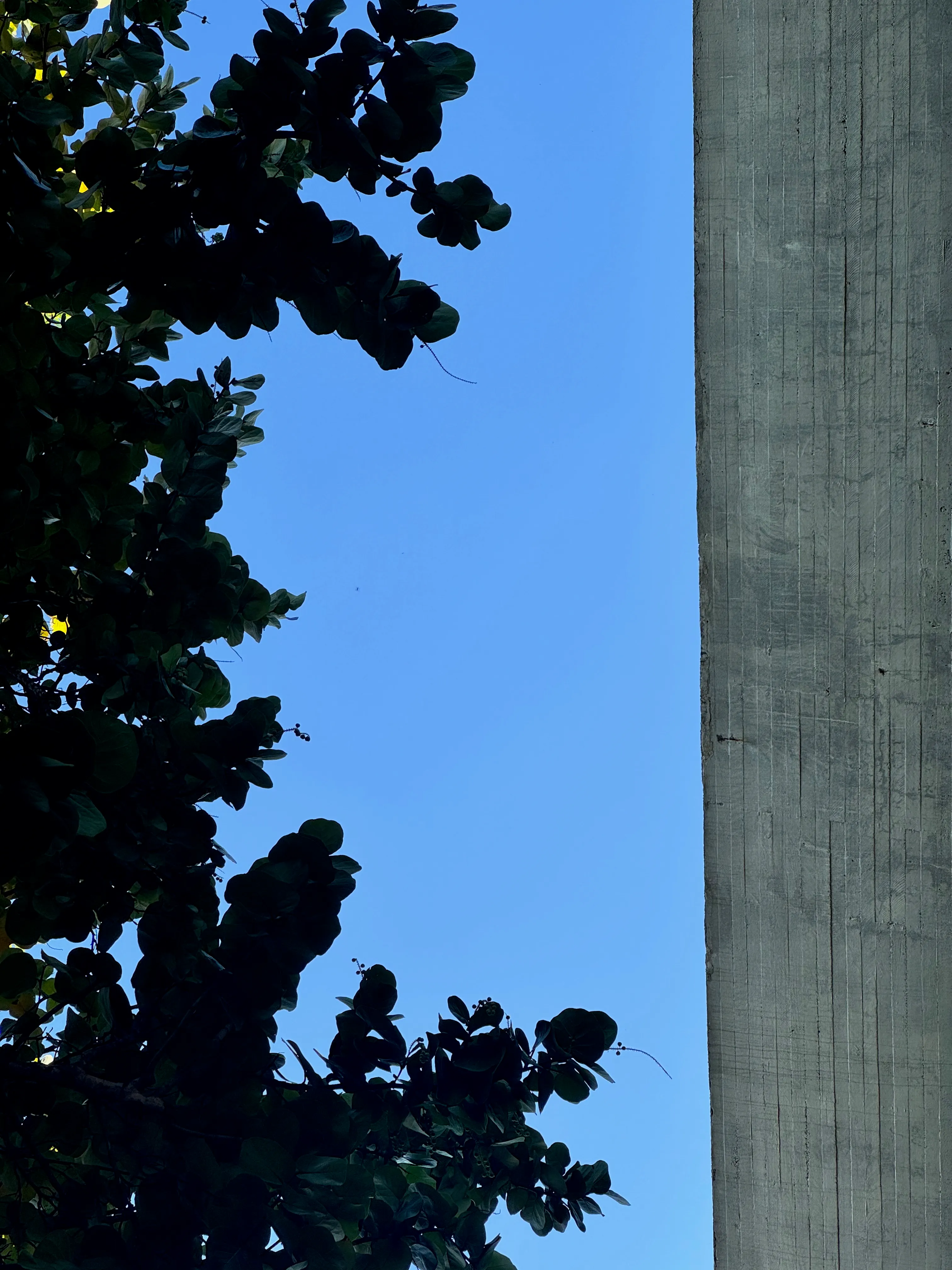 Photo of the roof of the Modern Art Museum