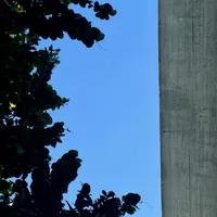 Photo of the roof of the Modern Art Museum