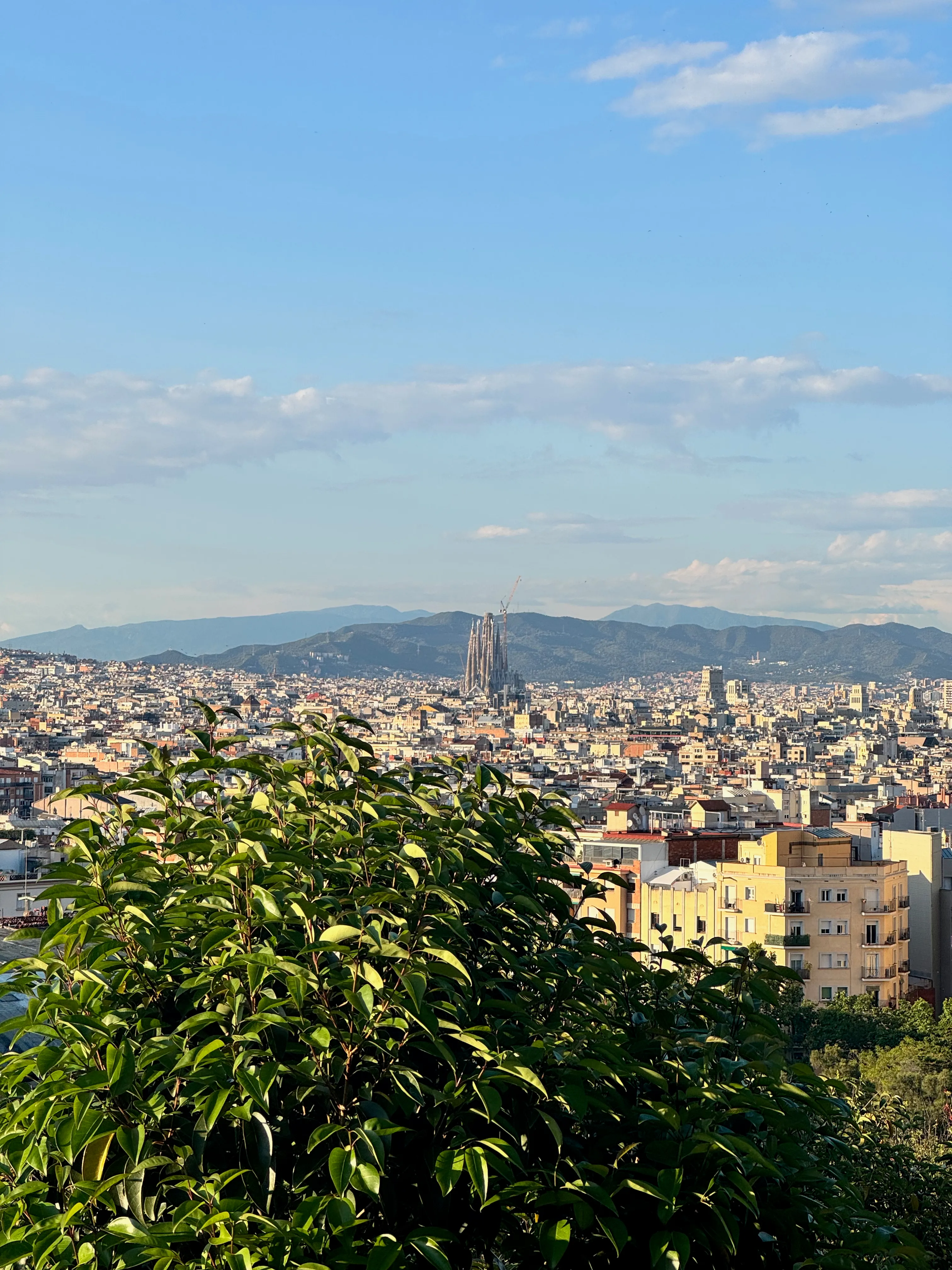 Photo of the Sagrada Família from Montjuic hill