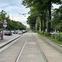 Photo of tram tracks