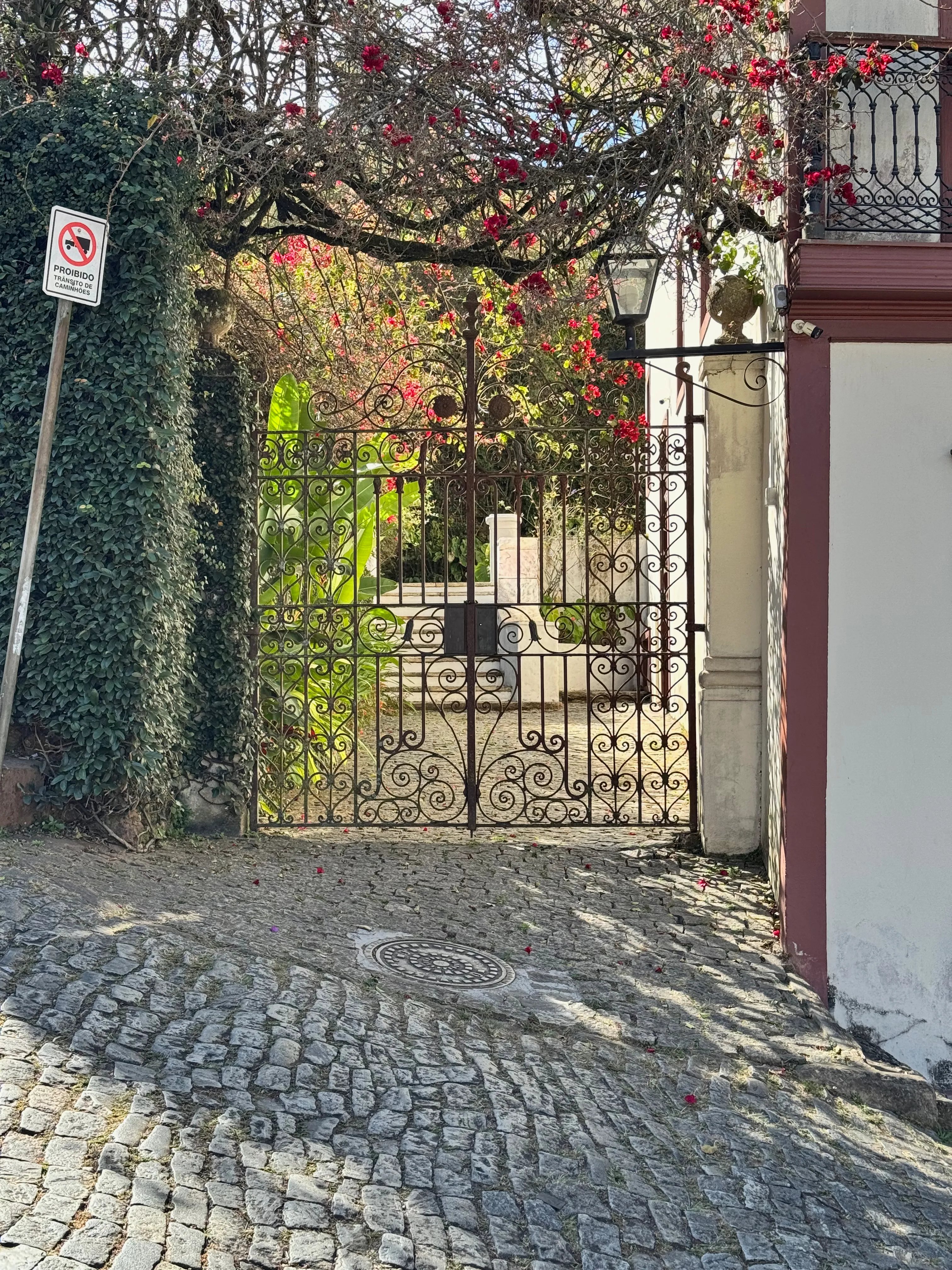 Picture of a house gate