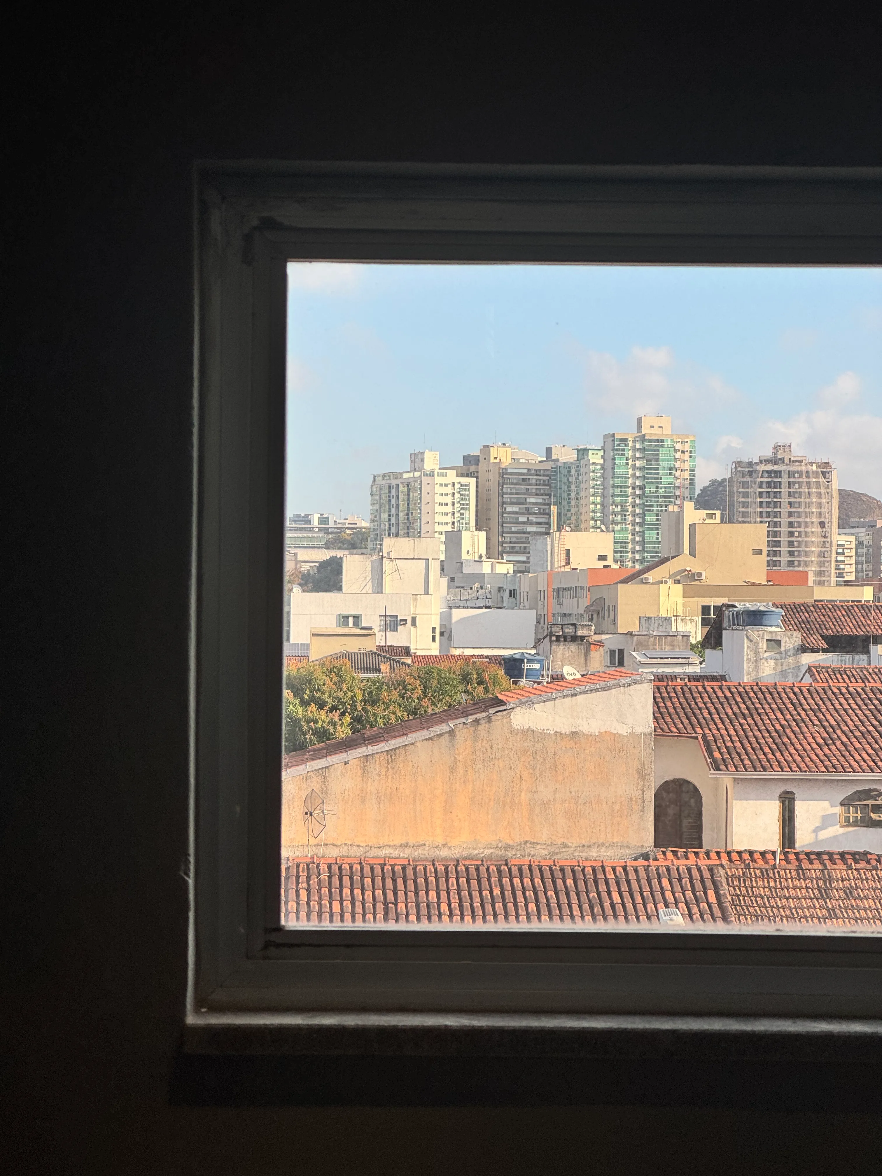 Picture of a skyline seen through a window