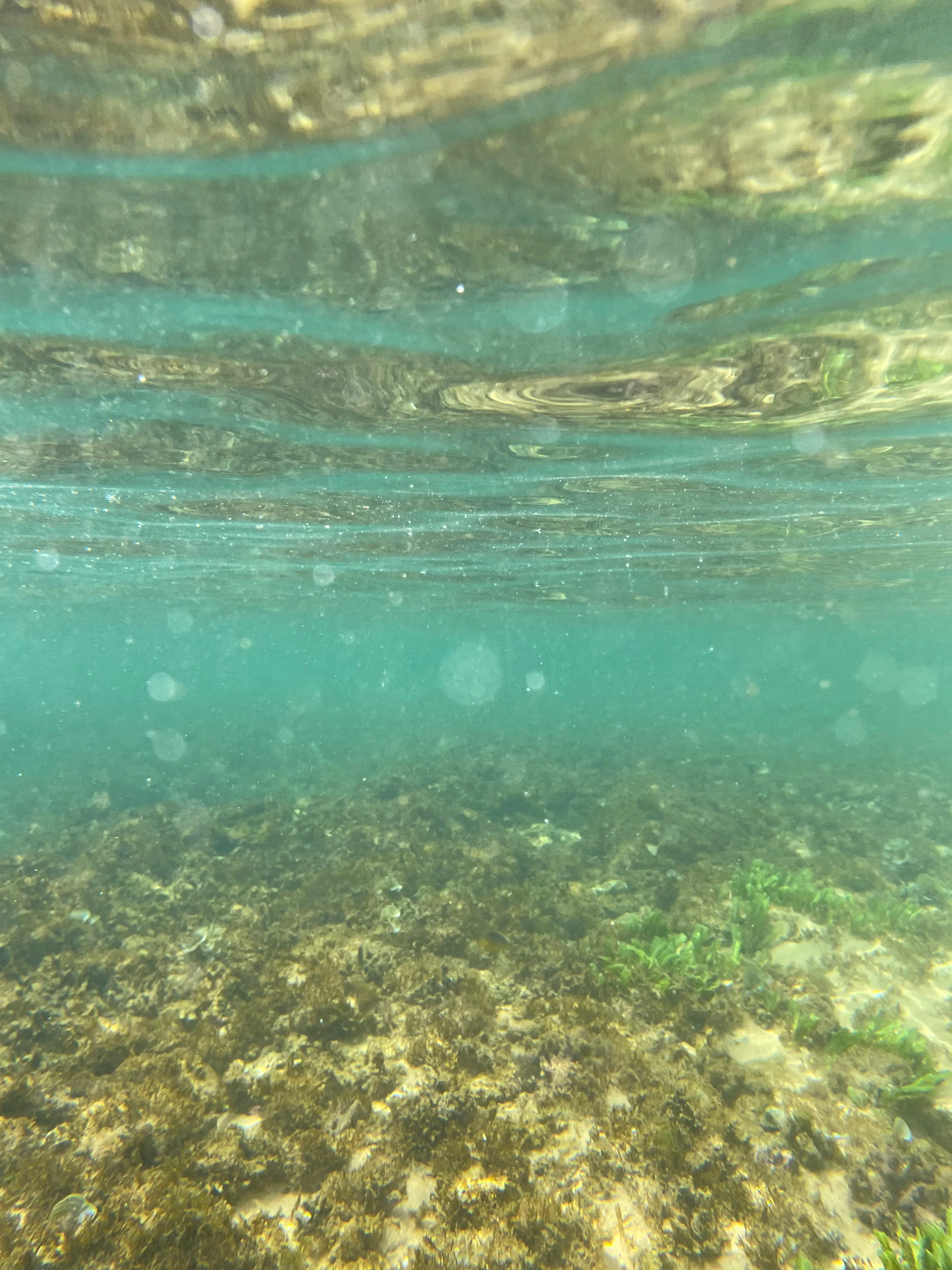 Photo from inside the ocean with the reflection of the floor