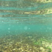Photo from inside the ocean with the reflection of the floor